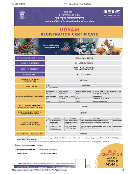 Frizzin SS Deep Freezer